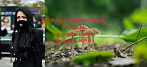 хмурый Абинск