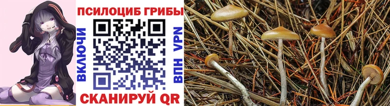 это официальный сайт  что такое   Алейск  Псилоцибиновые грибы Magic Shrooms 